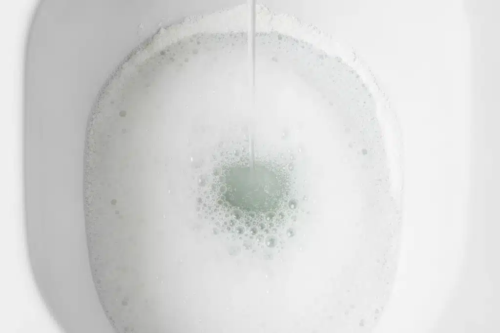 Ingredientes Naturais que Dissolvem Entupimento do Vaso
